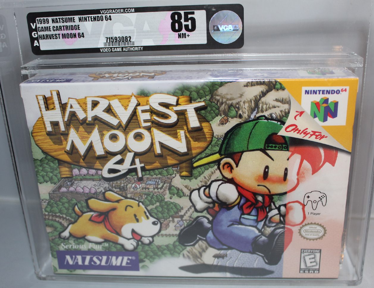 Harvest Moon 64, the actual copy, VGA 85